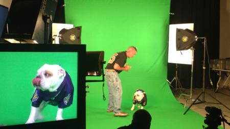 Video Studio Green Screen