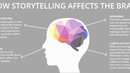 storytelling affects the brain diagram